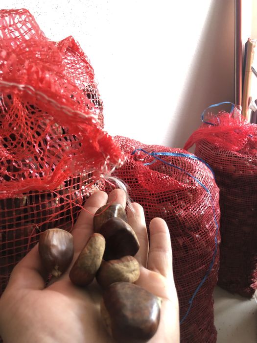 Castanhas Alta Qualidade