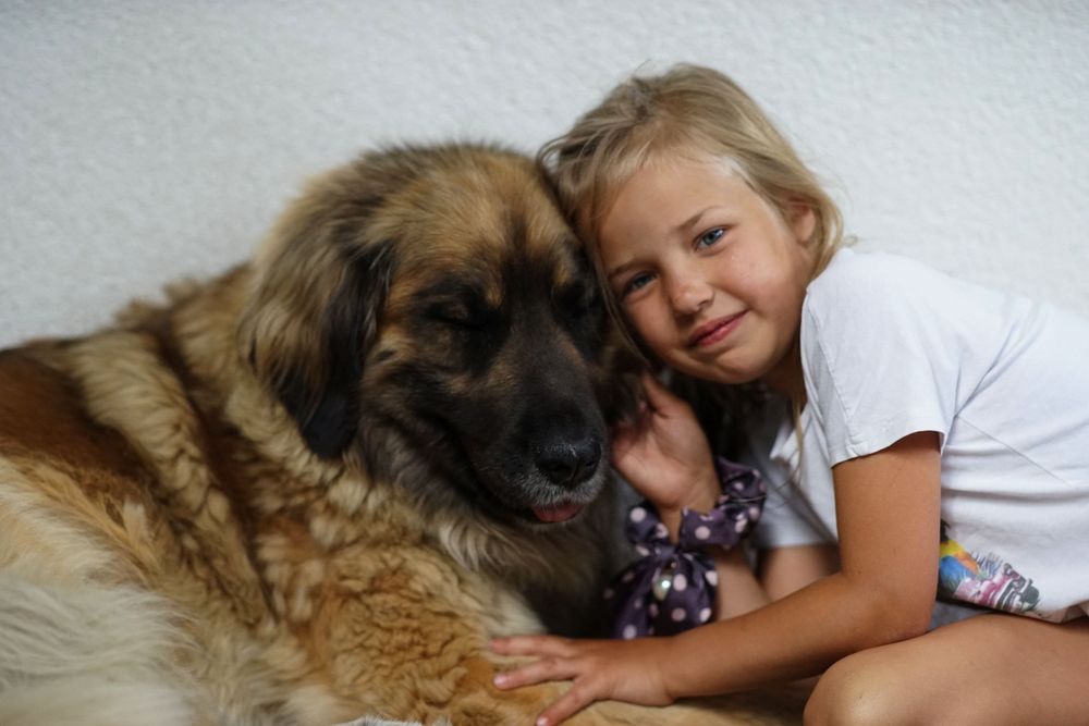 Zaginęła suczka o imieniu Joko - nagroda 1000 zł