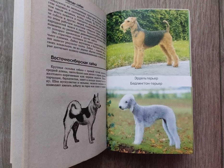 Собаки. Новая современная энциклопедия.