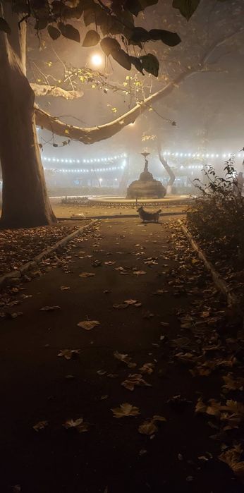 Пале Рояль 2К власник, оренда довгостроково