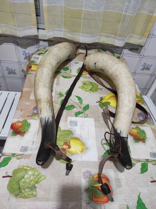 CORNO para guardar água cada 72€ Comprimento 80 cm