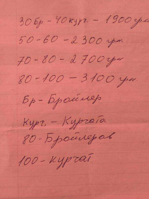 Брудер ясли, делаю по заказу.