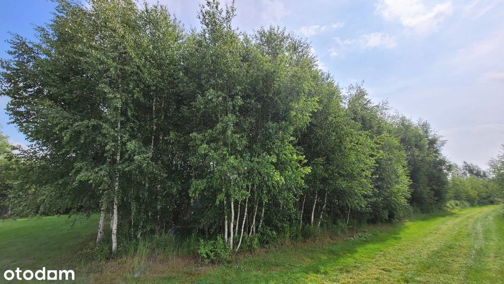 Działka z MPZP o powierzchni 850m2 / Dachowa gm. Kórnik