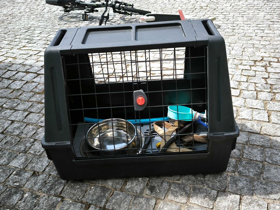 Transportadora animal