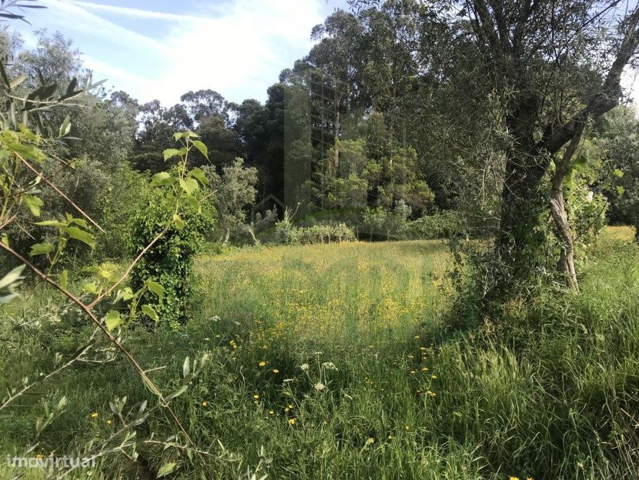 Terreno para venda