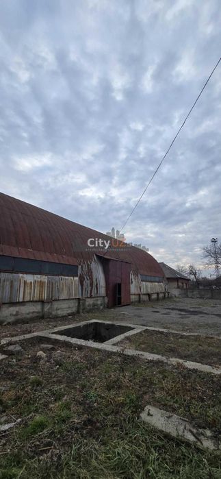 Здається в оренду ангар на великій ділянці