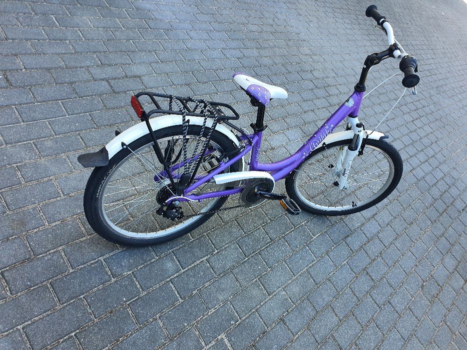 Rower unibike PRICESSA