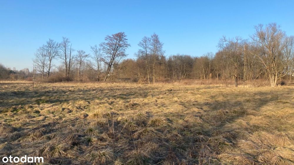 Urokliwa działka we Wsi Dobrzyniec w zakolu rzeki - Widok 6