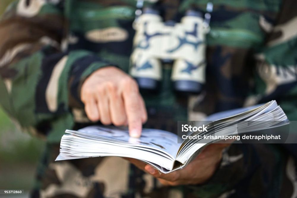 Ornitolog, dendrolog - ekspertyzy, opinie