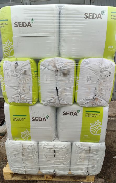 Орыс үй шаруасындағы әйелдермен жыныстық қатынас