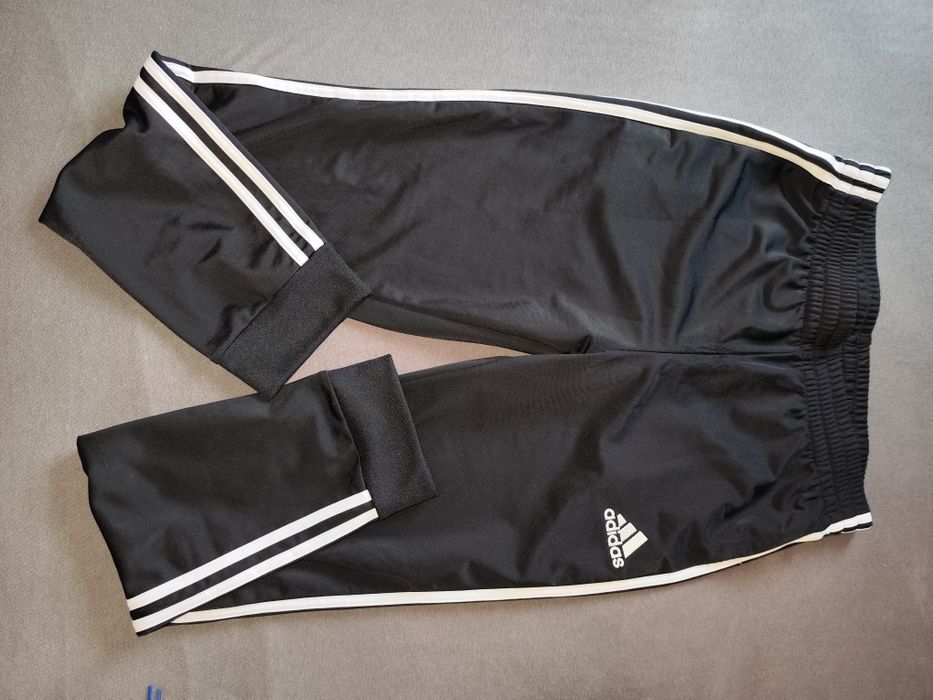 Dres męski Adidas