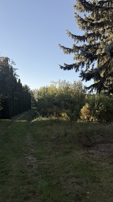 Dom – Komorniki - Widok 4