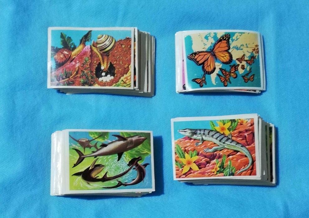 Cromos - Panorama Zoológico ou Mundo Zoológico