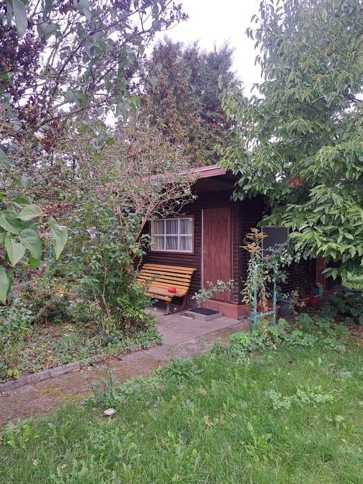 Działka ROD KORMORAN 300 m² Piłsudskiego - Więcej