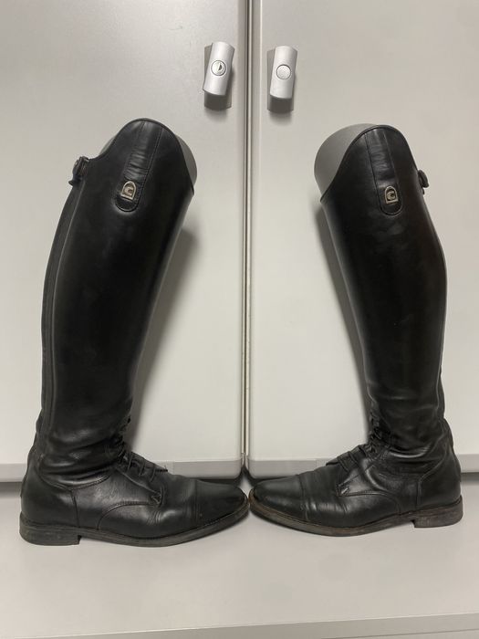 Oficerki Cavallo Boots