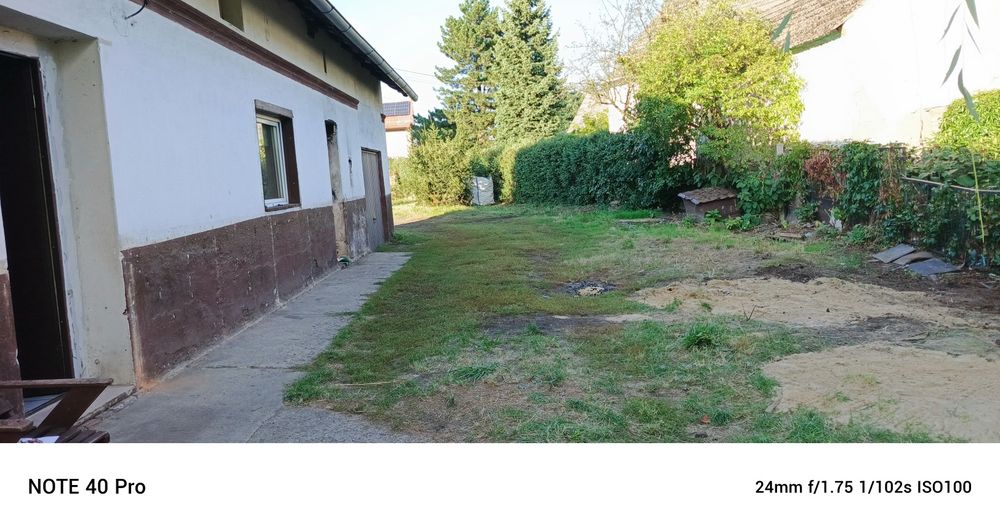 Zdjęcie 5