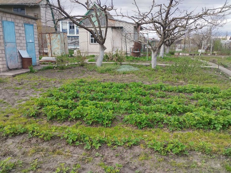 Дача смт. Власівка СТ Мічурінець