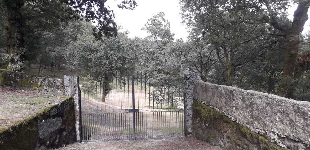 Propriedade com ca. 5 ha em Vieira do Minho