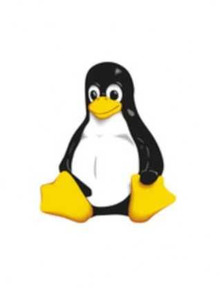Técnico de Informática & Eletrónica – Porto439964492775434244