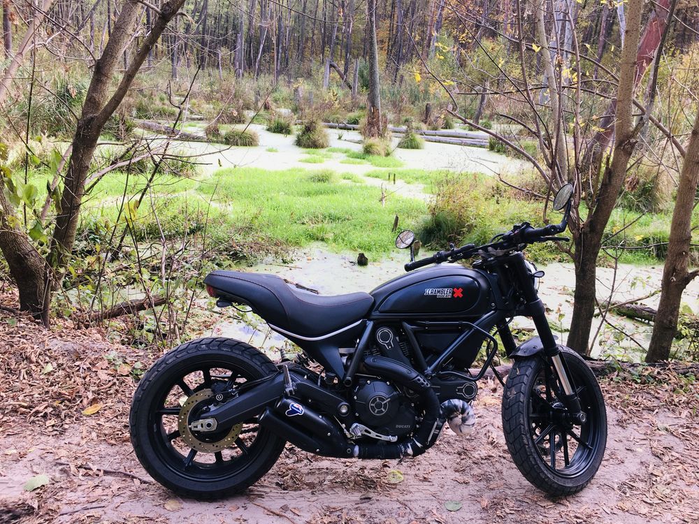 Ducati scrambler olx hotsell