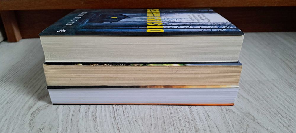 Sam Lloyd Schronisko  Roslund Bestia  Anna Tell Ogień zwalczaj ogniem