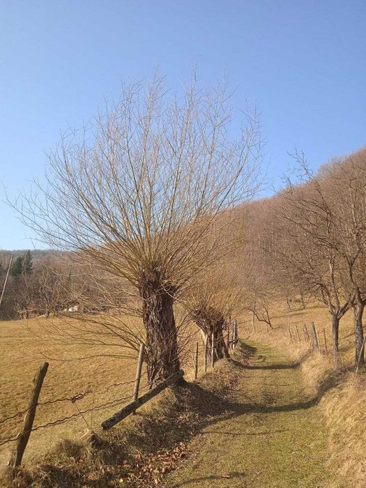 Будинки з краєвидом,будинки в Карпатах