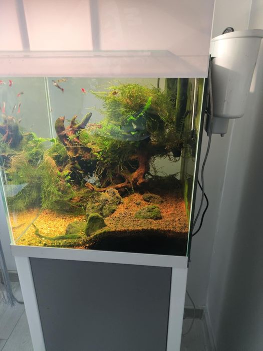 Akwarium Zestaw OptiWhite Szafka Filtr Ryby Rośliny