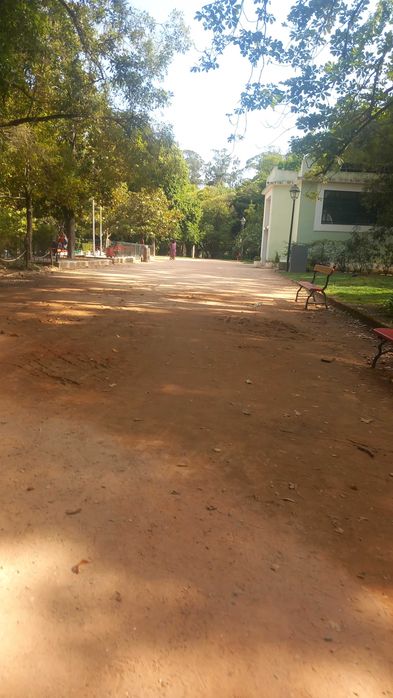 Trabalhos de jardinagem