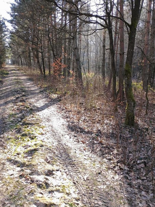 Widełka k. Rzeszowa działka przy lesie, idealne miejsce wypoczynku