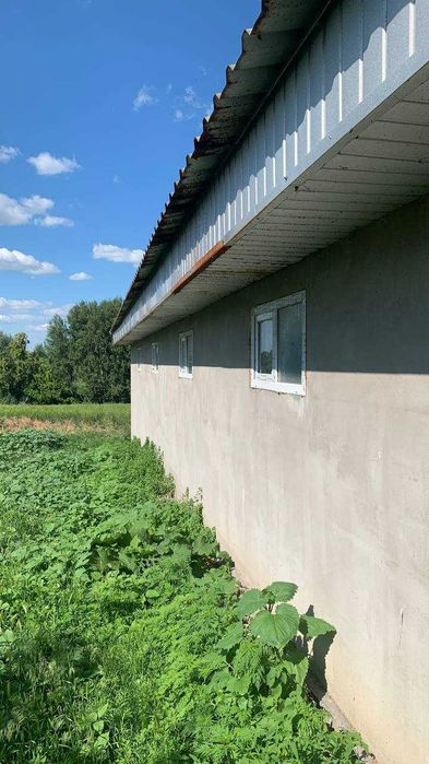 Продаж ферми (свиноферма) 200 кв.м. в селі Пустовойтове, 10 км. до міста Глобине, Кременчуцький район - View 3