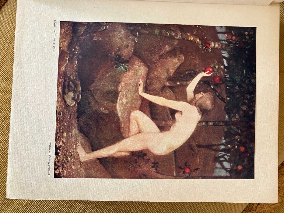 A Mulher - Sousa Costa