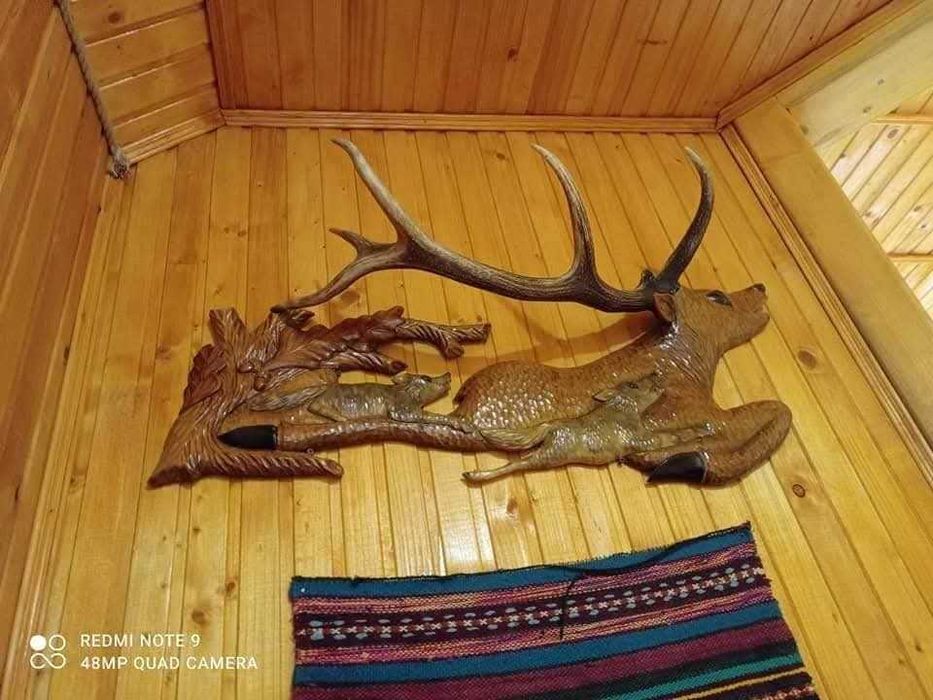 Відпочинок у Мигово