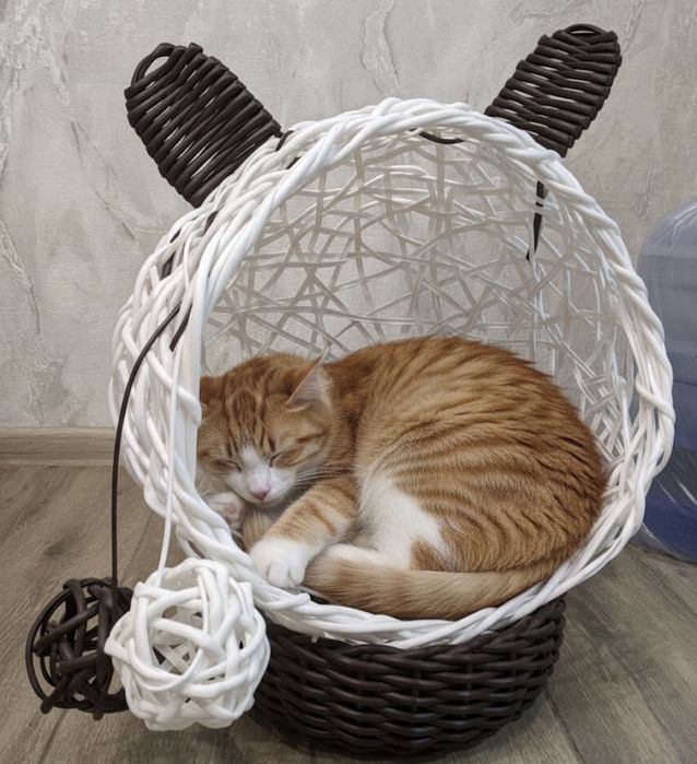 АКЦІЯ НОВОРІЧНА Хатинка для котів/собак з ротангу