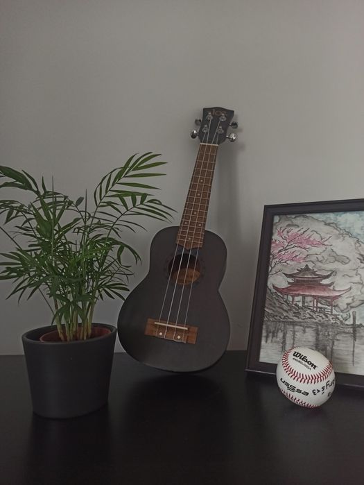 ukulele sopranowe beJoe