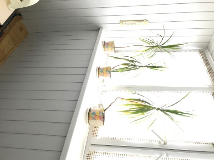 ПОДОБОВО З.д. Вокзал пішки. Солом’янська площа