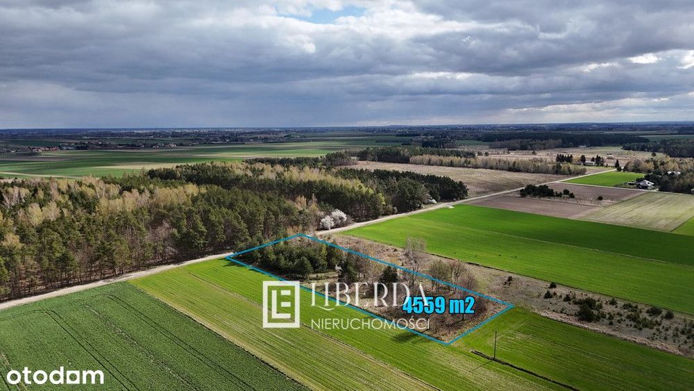 ❤️ Łuszczów Pierwszy - 4559 m2