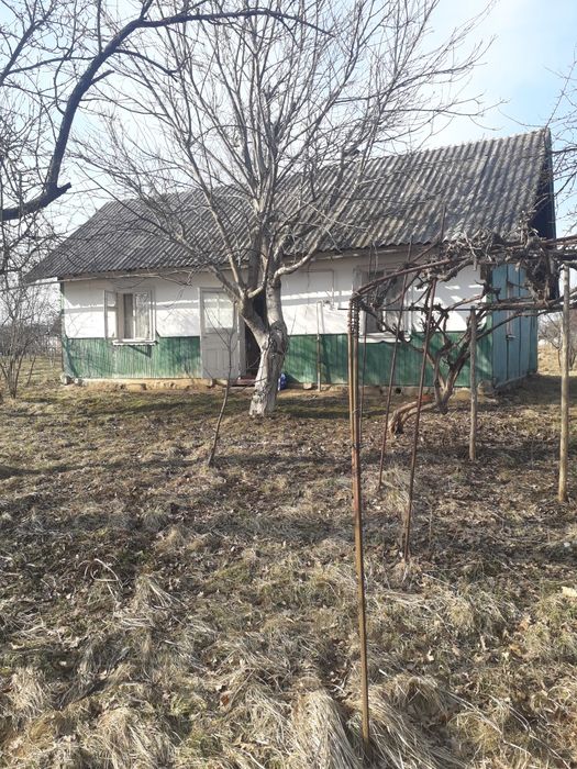 Продається будинок у селі