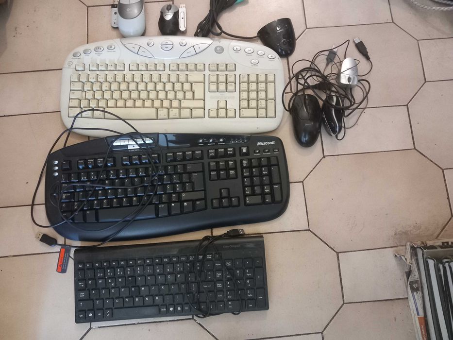 teclados e ratos (com e sem fio)