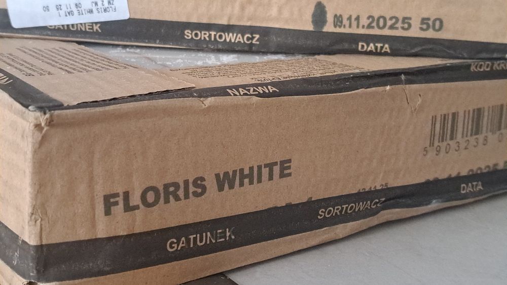 Płytki ceramiczne glazura Floris white Tubądzin (30,8cm × 60,8cm)