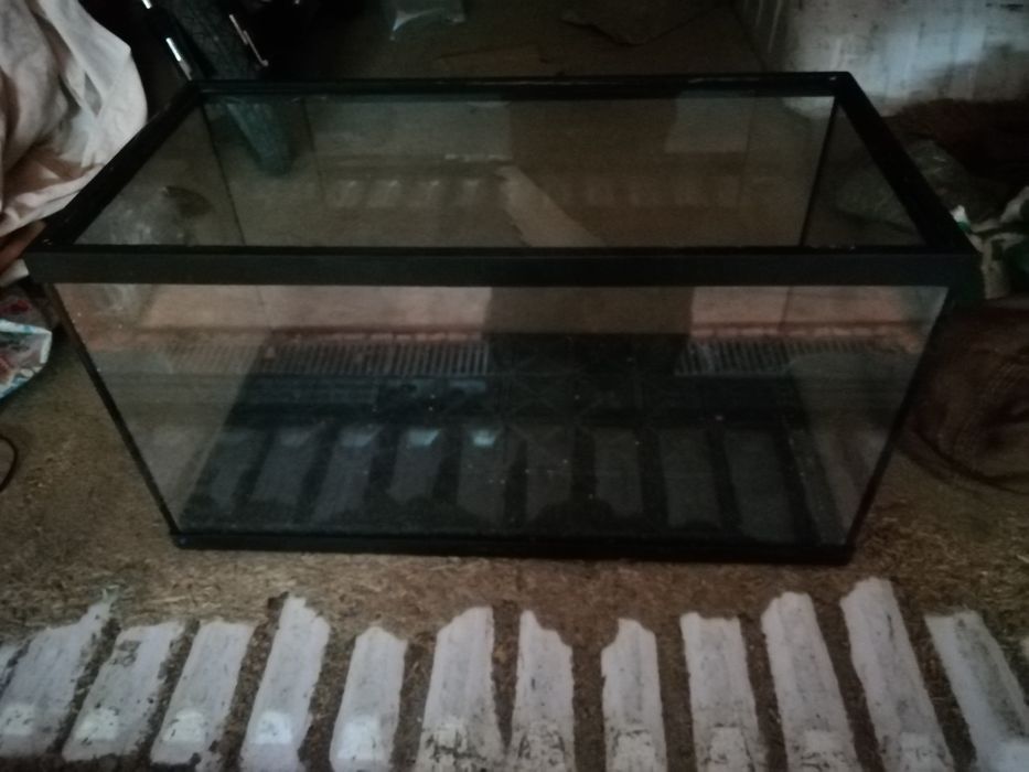 Aquário como novo