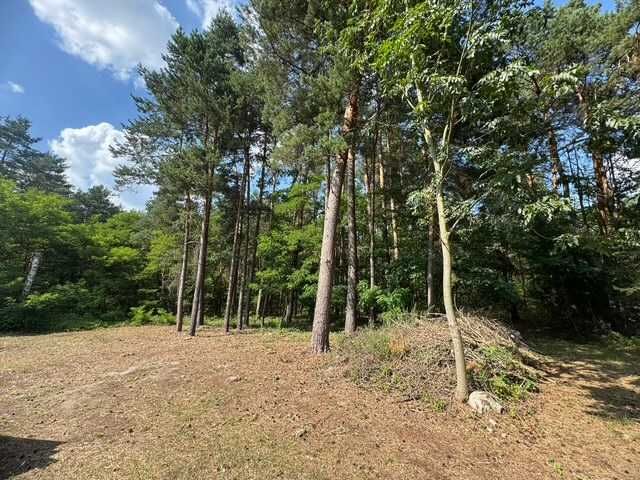 DOM  i budynki   siedlisko  działka sprzedam Stanisławów   mazowieckie