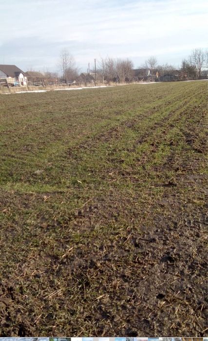 Продам земельну ділянку село Вербівка