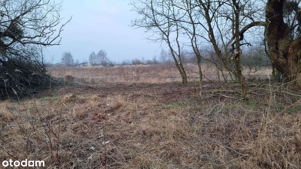 Działka Strzeszyn