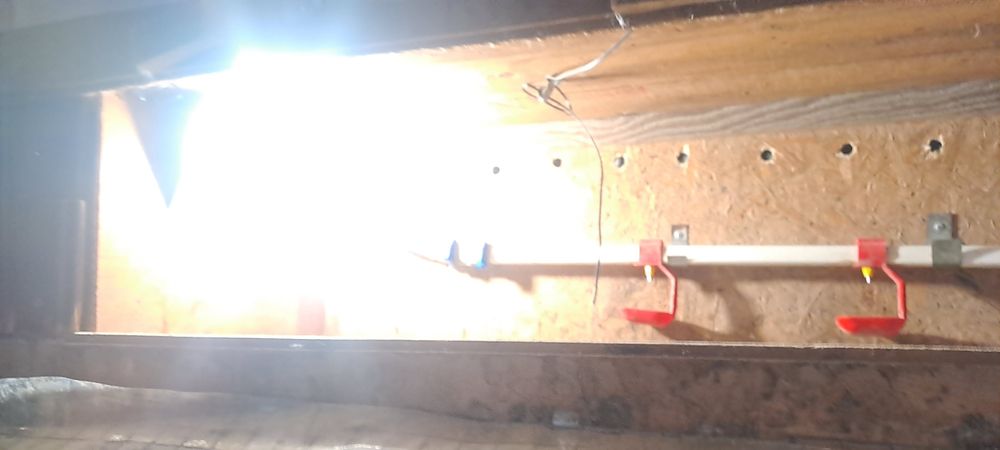 Брудера для птиці