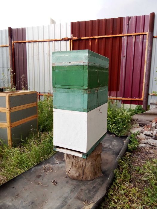 Продам улья не дорого