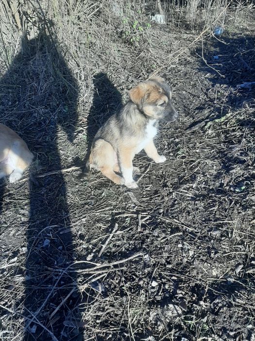 Безхатьки шукають притулок