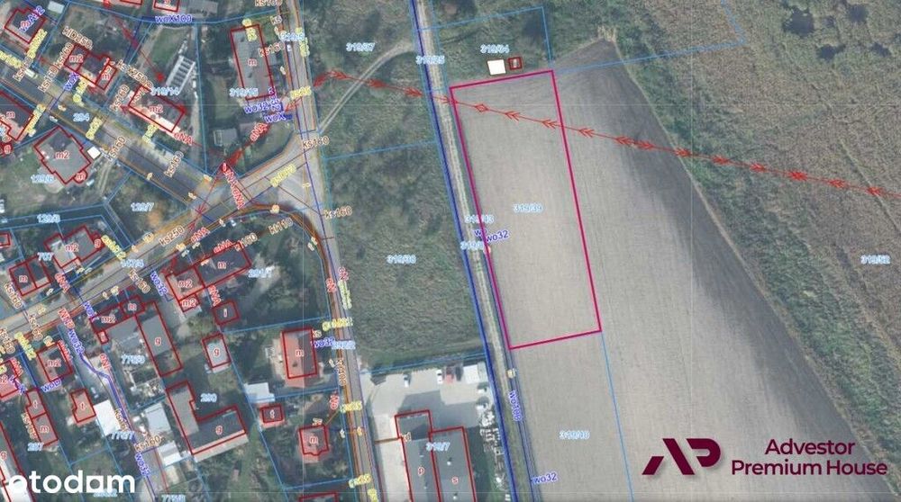 Duża działka z widokiem na drzewa