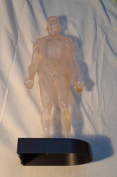 Homem de Plástico, figura com 41cm altura.