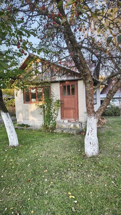 Sprzedam działkę ROD Podlesie w Leżajsku – 300 m² murowana altana - Widok 4
