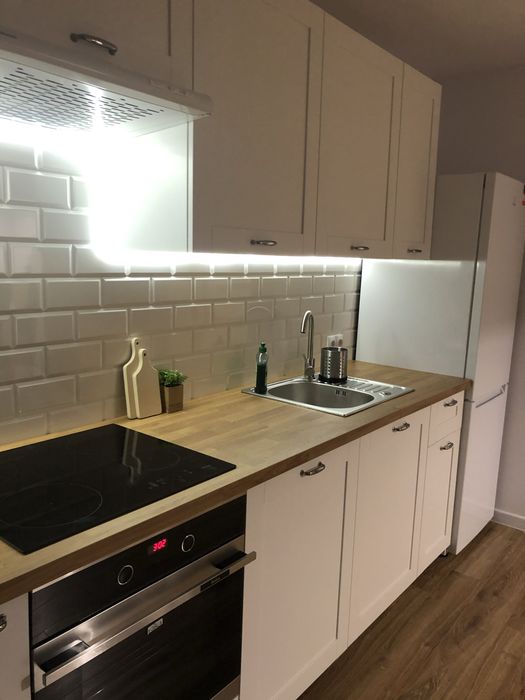 Do wynajęcia mieszkanie w centrum Zabrza - Widok 4